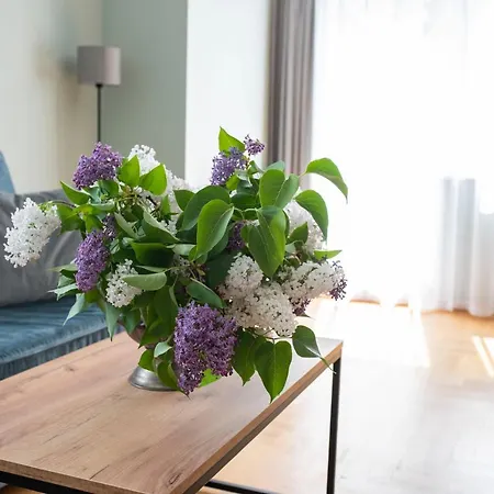 Ohana Space W Juracie