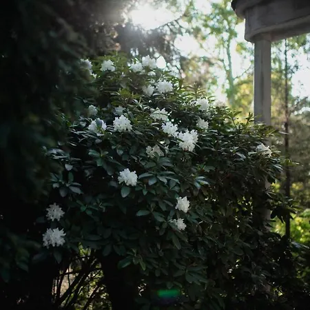 מלון דירות Ohana Space W Juracie יוראטה