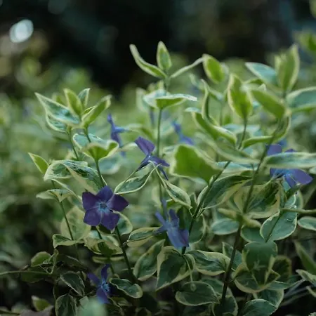 Ohana Space W Juracie Jurata