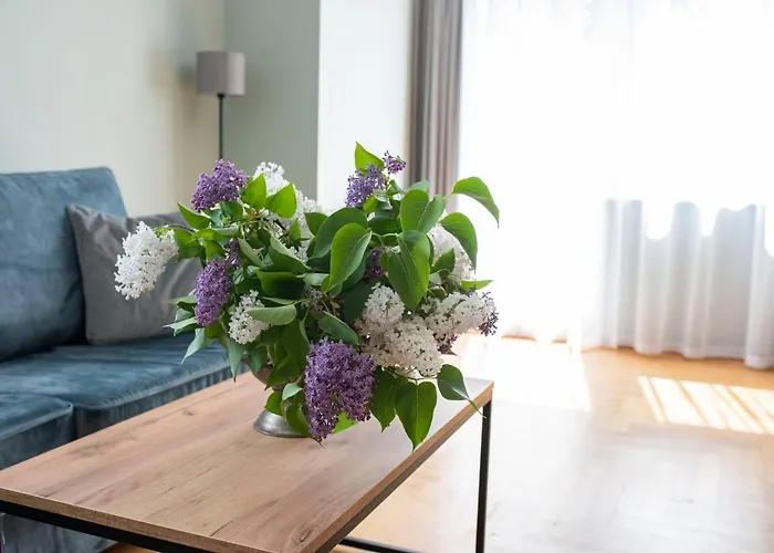 Ohana Space W Juracie