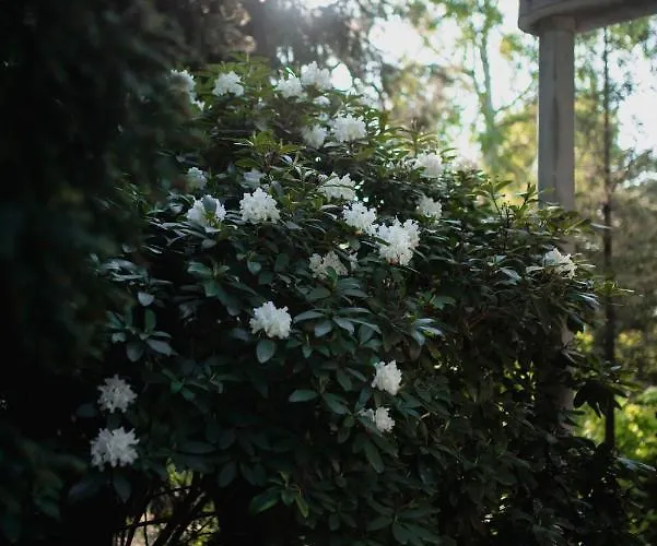 מלון דירות Ohana Space W Juracie יוראטה